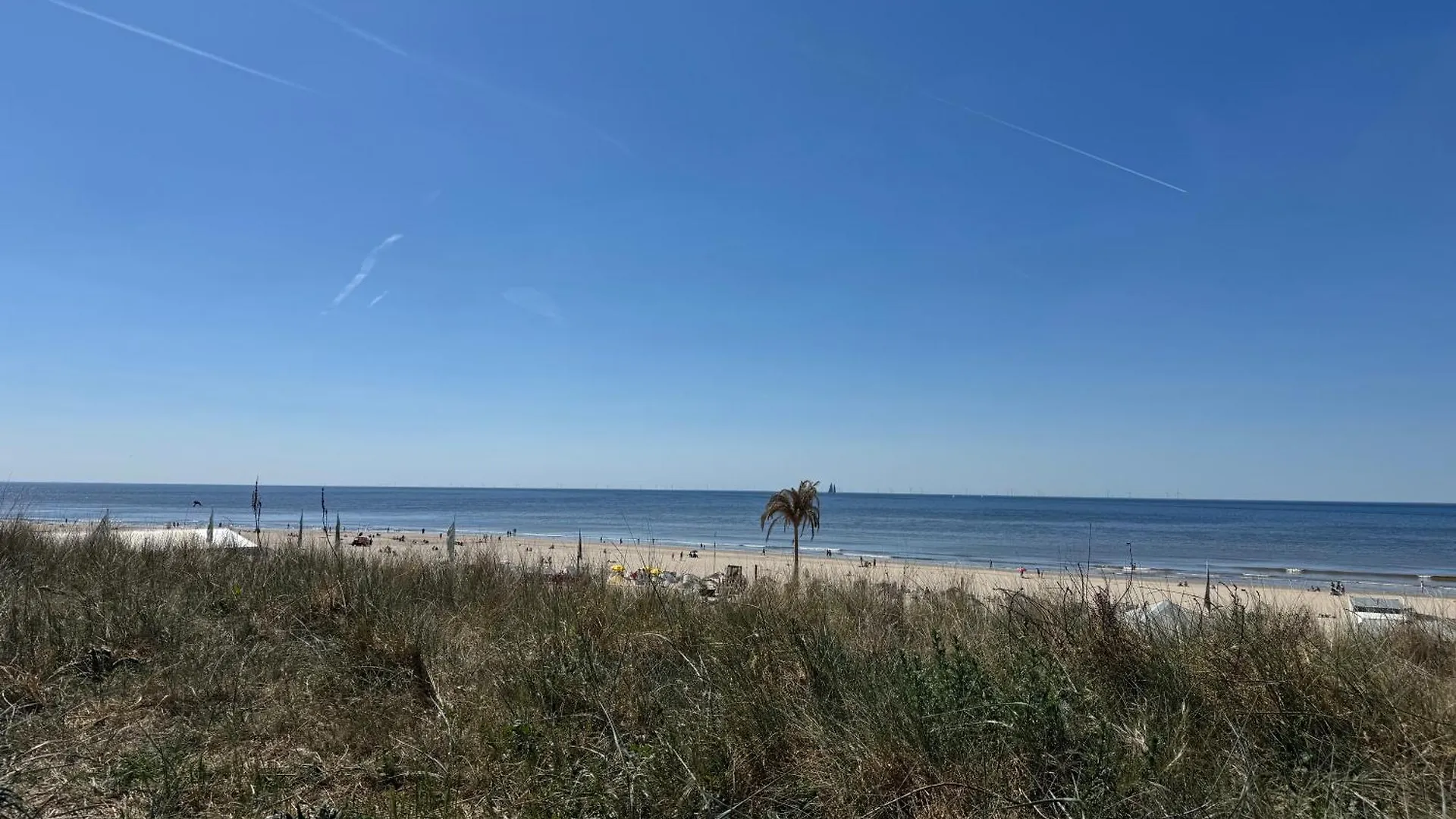 Lägenhet Short Stay Zandvoort At 68A